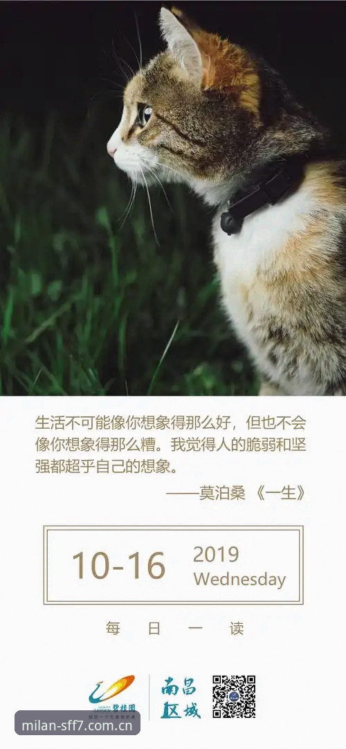米兰官网登录 5个认知误区,米兰官网登录的真相可能和你想象的不一样